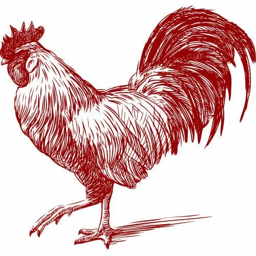 Euroscrubby Swedish Cleaning Cloth Rooster 1
