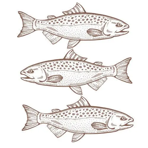 Euroscrubby Cleaning Cloth - Fish 1