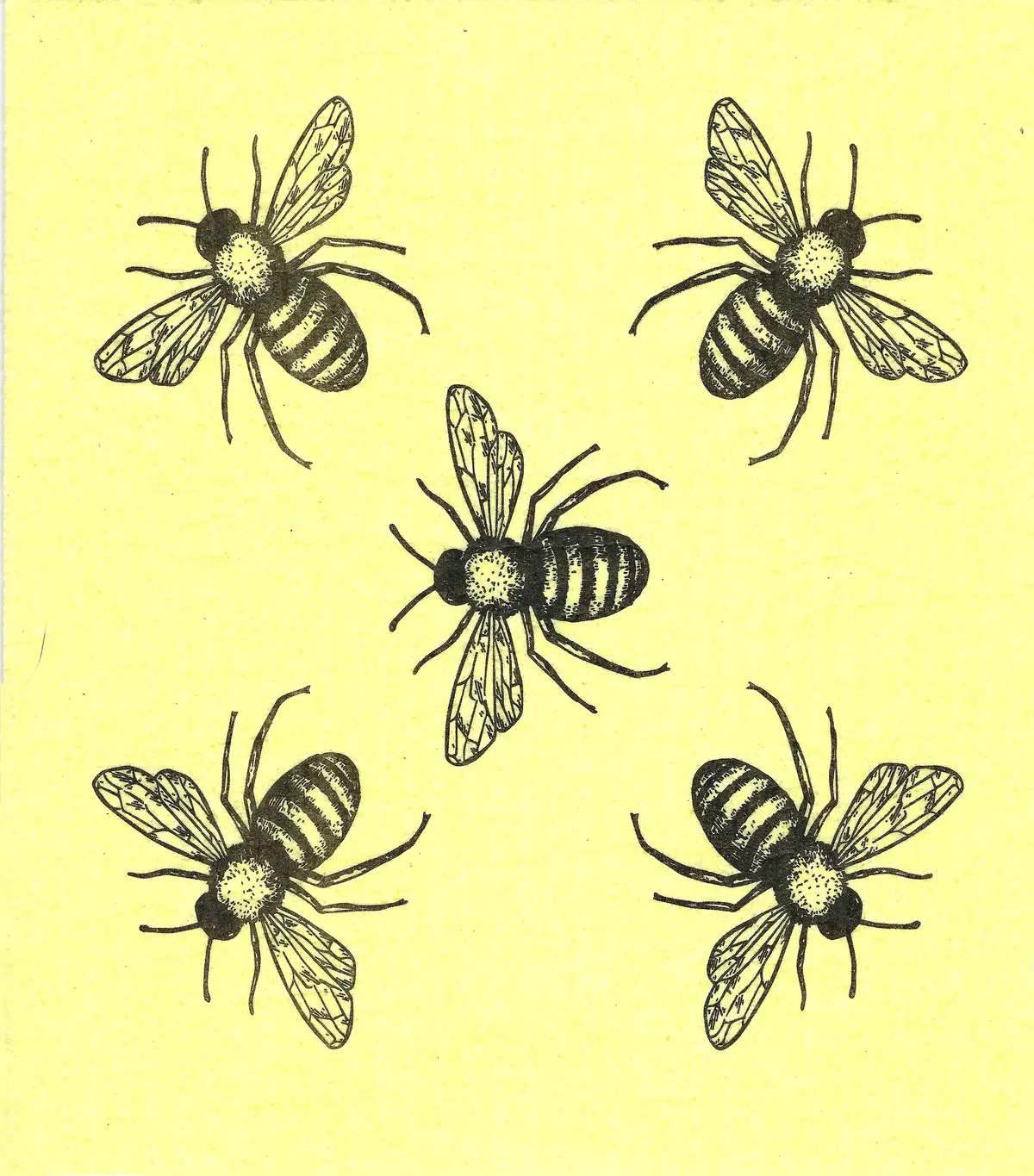 Euroscrubby Swedish Dish Sponge | Bumble Bees | 1043 1