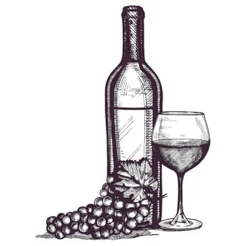 Euroscrubby Cleaning Cloth - Wine 1