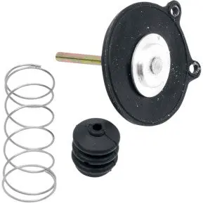 Gl1500 Accelerator Pump Diaphragm Kit 1