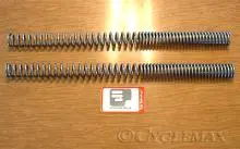 Gl1500 Progressive Fork Springs 1