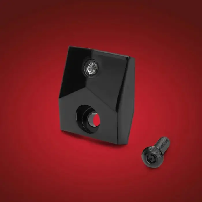 Gauge Riser Ryker 1