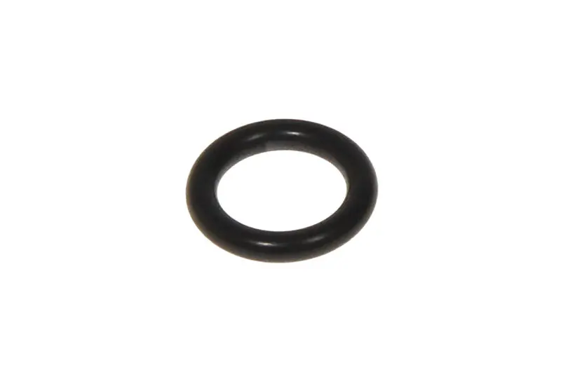 Delonghi Generator O-Ring 5313217741 1