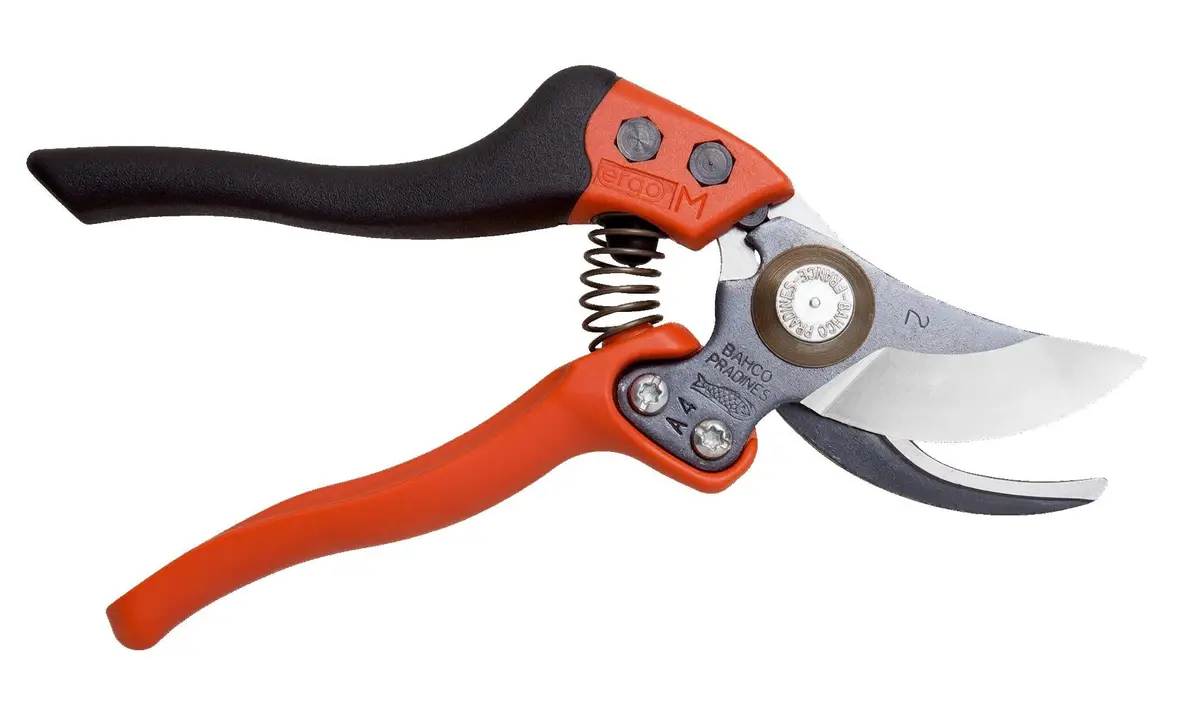 Wall Display Pxr Pruners
12" X 18" 1