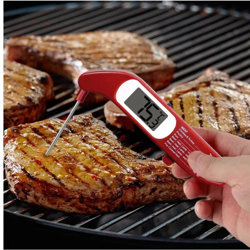 Danesco Folding Digital Thermometer 1