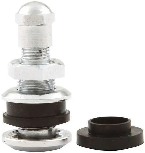 Chrome Bolt-In Valve Stem 1