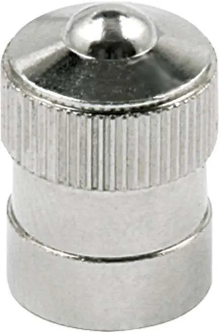 Stainless Steel Valve Stem Caps 1