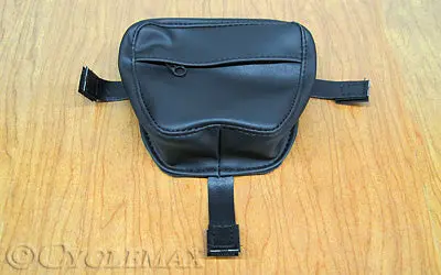 2018 Goldwing Gas Tank Door Pouch 1