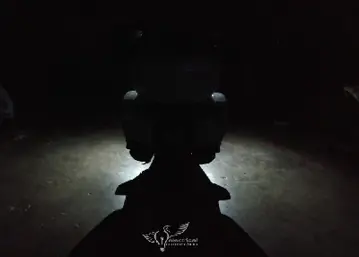 2018 Goldwing Led Entry Light Kit 2