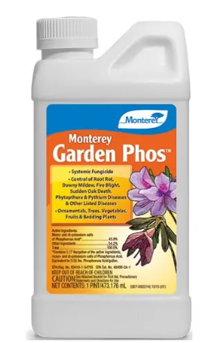Monterey Garden Phos Pt 1