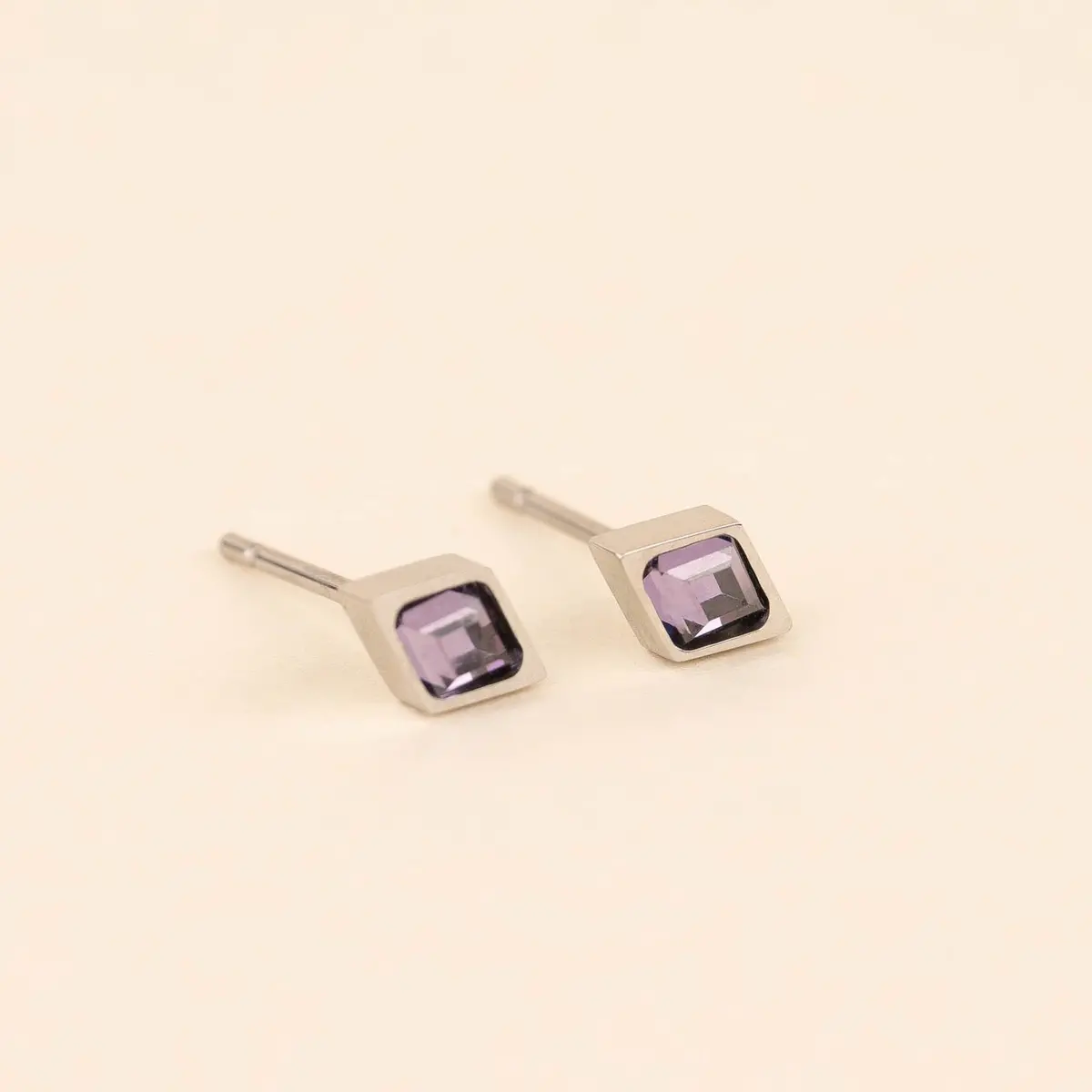 February Birthstone Stud Earrings 3