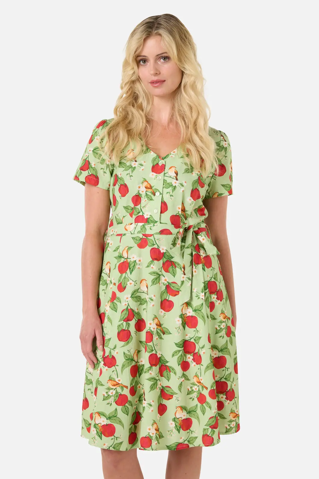 Apple Blossom Tea Dress 1