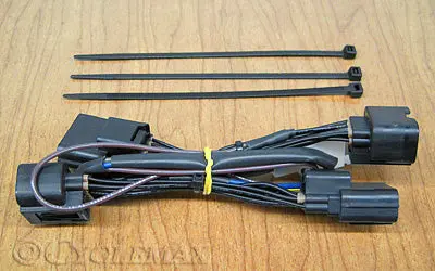 2018 Goldwing Trailer Sub Harness 1