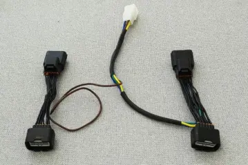2018 Goldwing Trailer Sub Harness 2