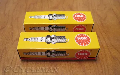 Spyder Ngk Spark Plugs 1