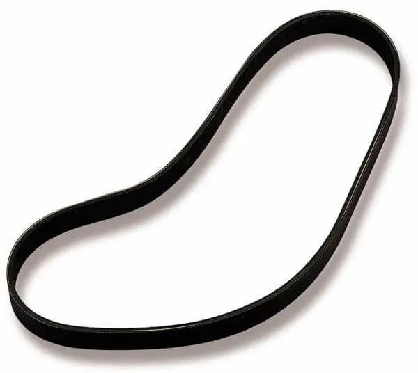 Weiand Pro-Street Serpentine Supercharger Drive Belt 1